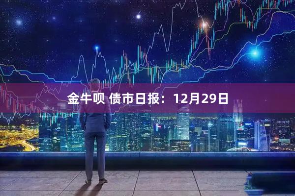 金牛呗 债市日报：12月29日