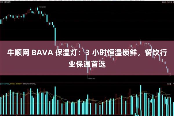 牛顺网 BAVA 保温灯：3 小时恒温锁鲜，餐饮行业保温首选