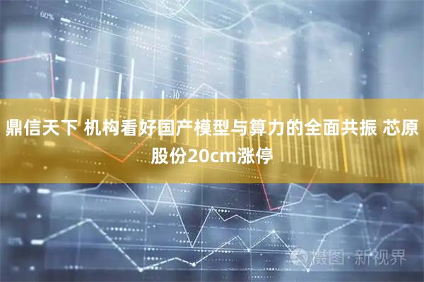 鼎信天下 机构看好国产模型与算力的全面共振 芯原股份20cm涨停